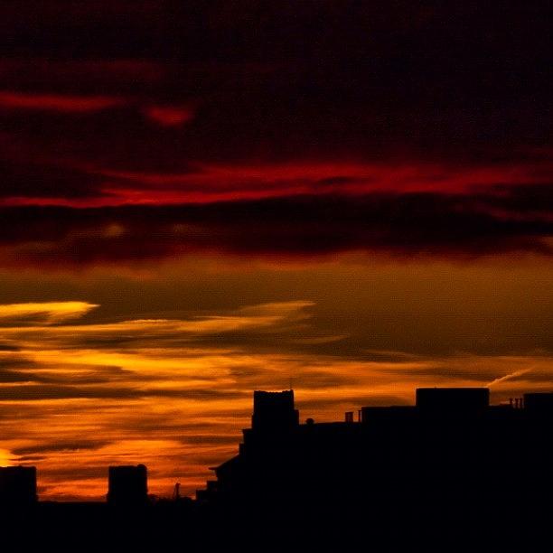 Newjersey Photograph - Wild Urban Sunset by Alhaji Samura