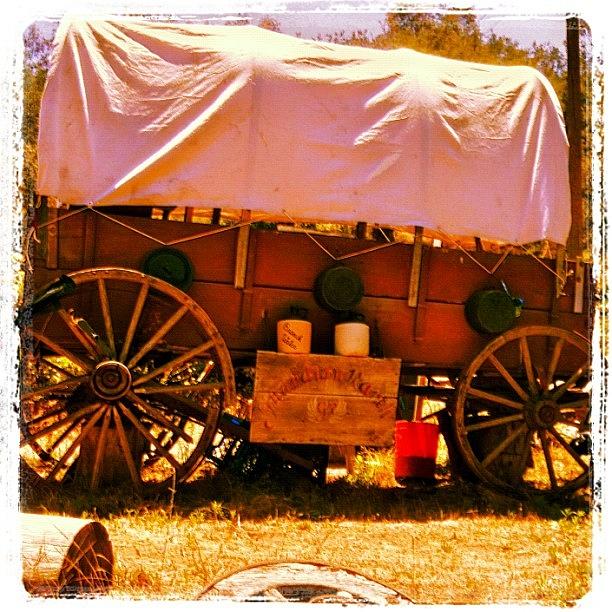 Vintage Photograph - Wild West Wagon by Olivier Pasco