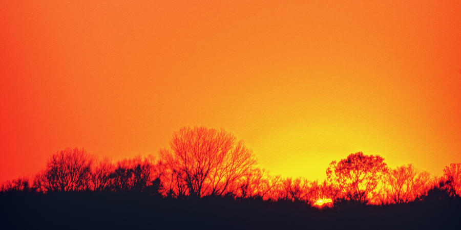Sunset With Silhouetted Trees Photograph