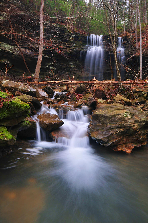 Wilderness Waterfall Photograph by Ronnie Phipps - Fine Art America