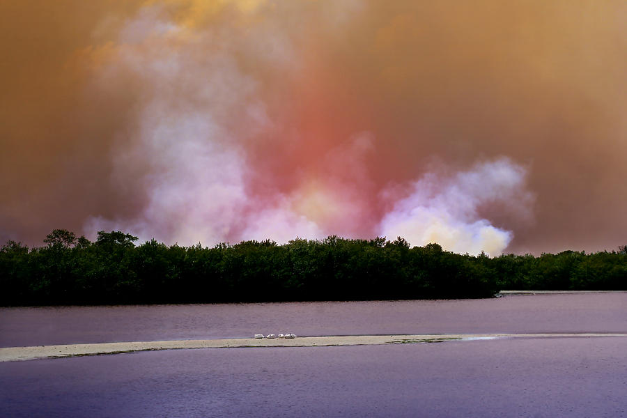 Nature Photograph - Wildfire on Sanibel Island by Ellen Heaverlo