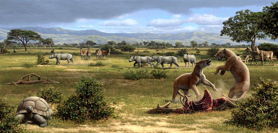 Wildlife Of The Miocene Era, Artwork Photograph by Mauricio Anton