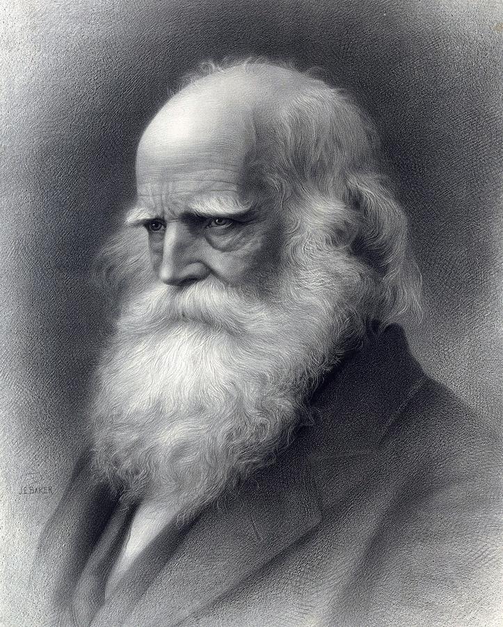 William Cullen Bryant 1794-1878 Was An Photograph by Everett William Cullen Bryant 1794-1878 Was An Photograph by Everett