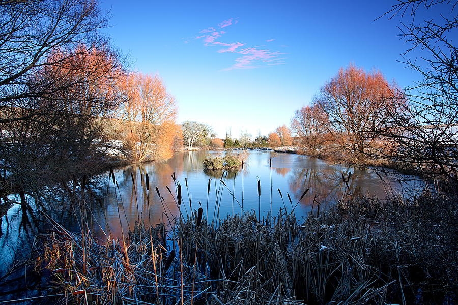 Willow Glow Photograph by Kris Dutson - Fine Art America