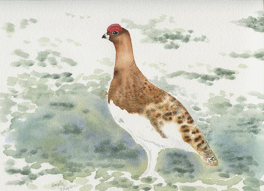 Bird Painting - Willow ptarmigan male by Wenfei Tong