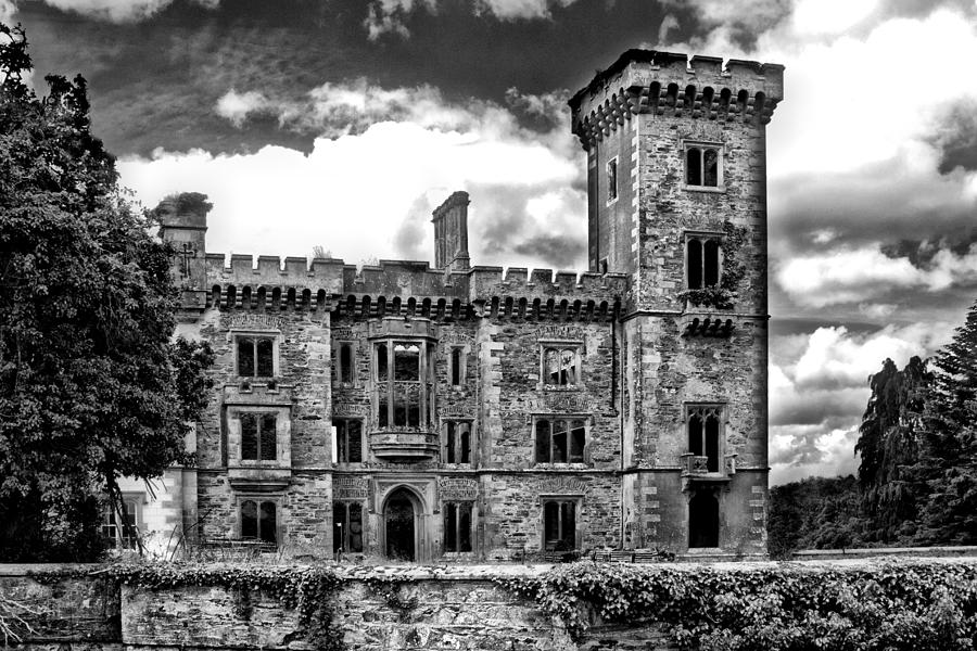 Wilton Castle in mono Photograph by Celine Pollard