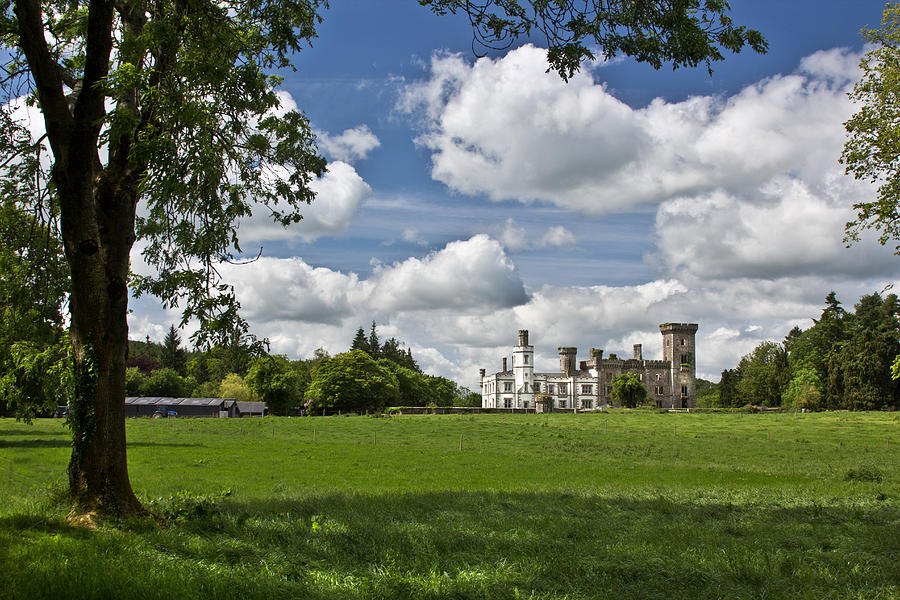 Wilton Castle of Bree Photograph by Celine Pollard