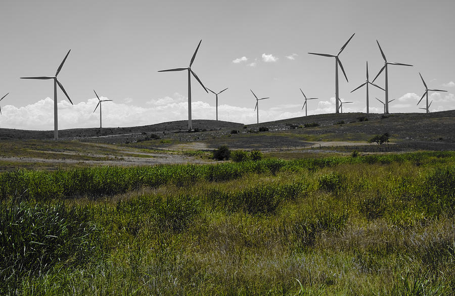 Wind Farm IV Photograph by Ricky Barnard