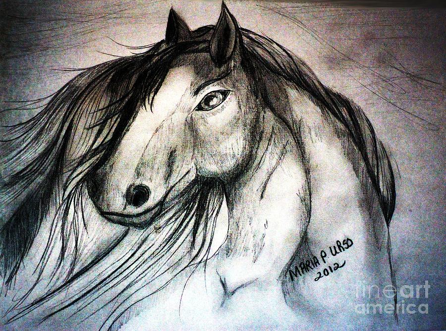 Wind In His Hair Drawing by Maria Urso