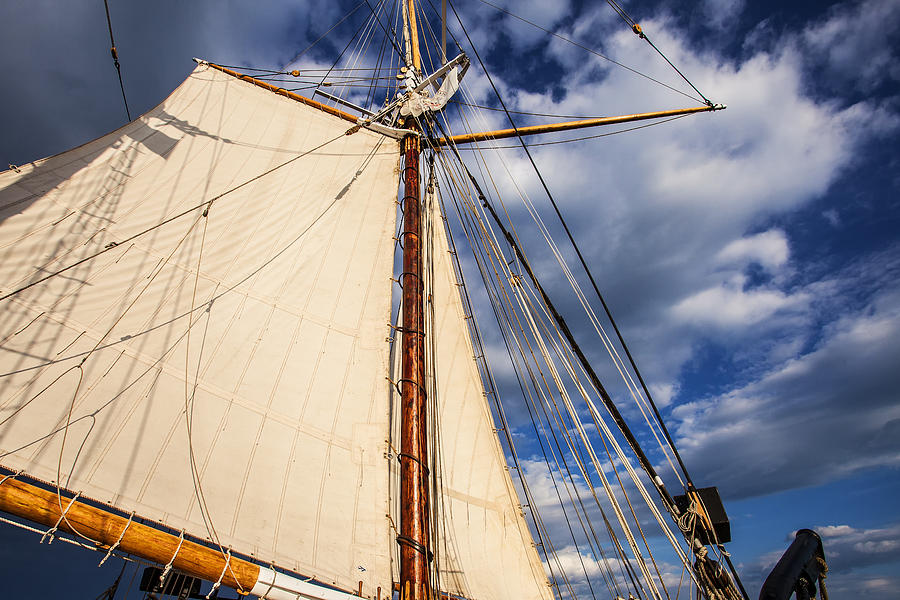 Wind in My Sail Photograph by CJ Schmit