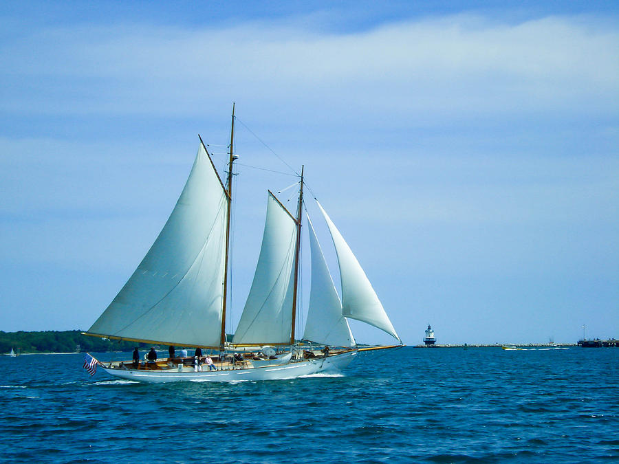 Wind in the Sails Photograph by Al Griffin