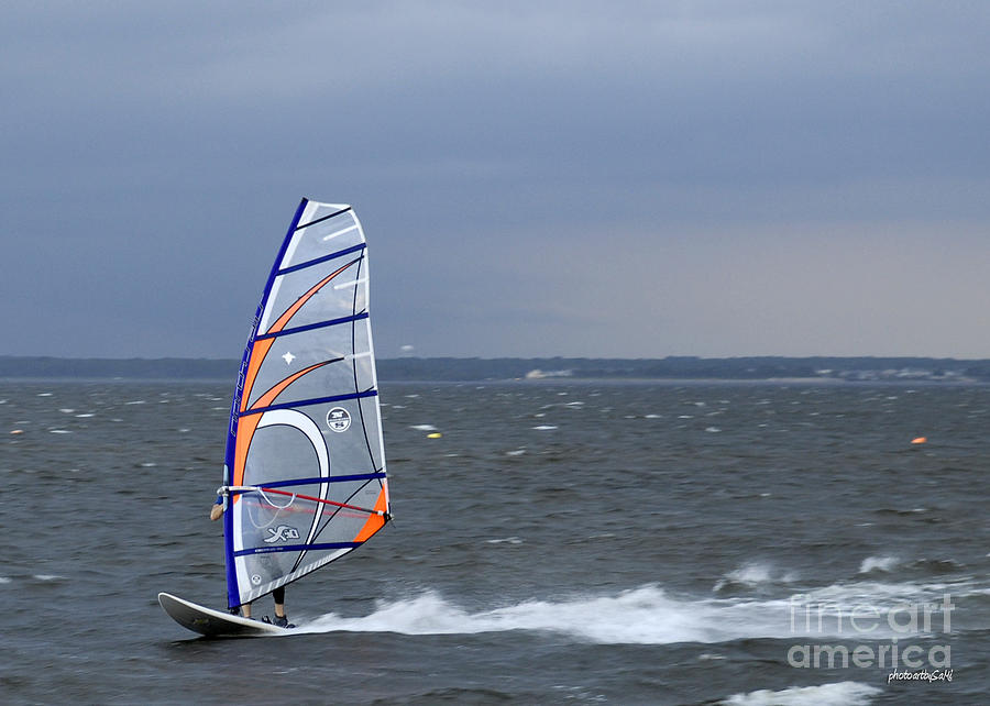 Wind surfing Photograph by Sami Martin