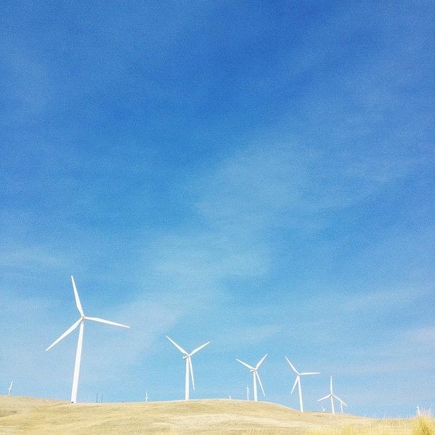 Wind Turbine Farms Photograph by Aayla M