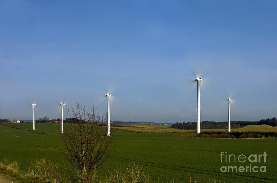 Wind turbines Photograph by Jorgen Norgaard