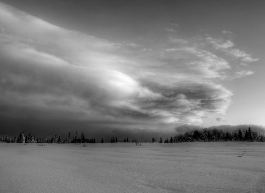 Windblown Cloud Photograph by Michele Cornelius