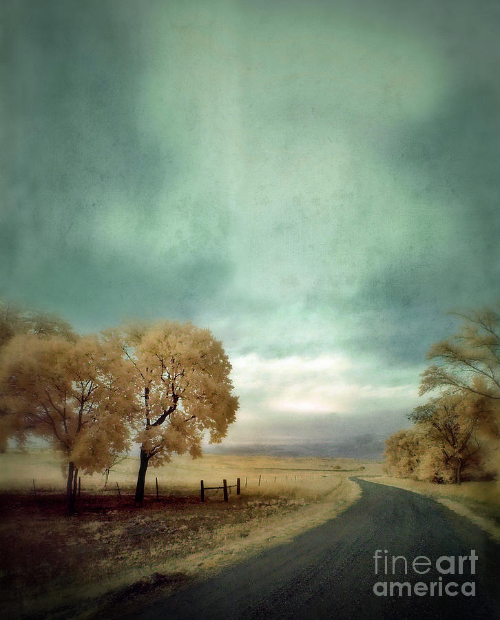 Winding Country Road in Infrared Photograph by Jill Battaglia