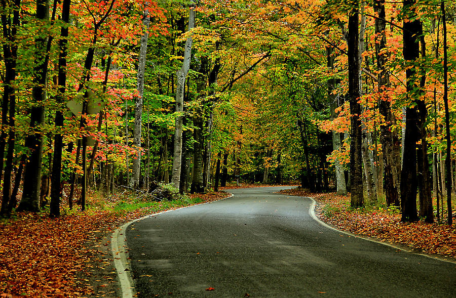 Winding My Way Back Home Photograph by Matthew Winn - Fine Art America