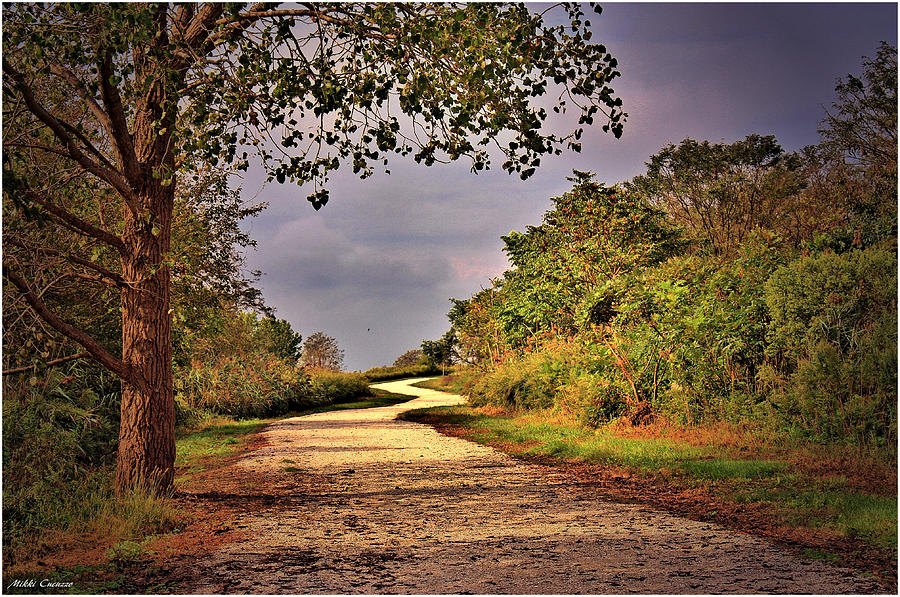 Nature Photograph - Winding path by Mikki Cucuzzo