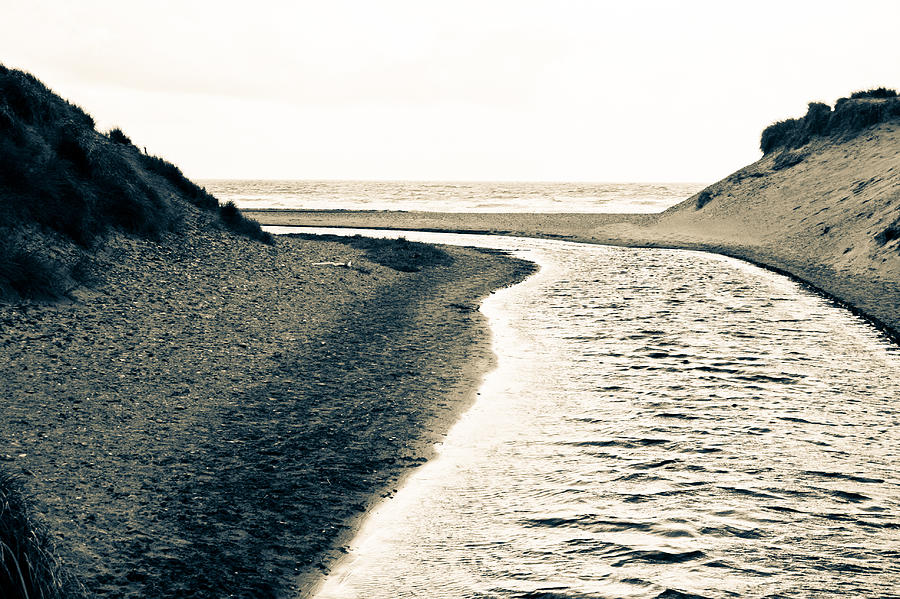 Beach Photograph - Winding to the sea by Georgia Clare