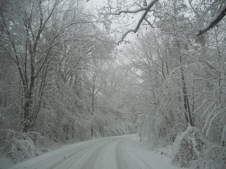 Winding Winter Road Photograph by Heather Tuttle - Fine Art America