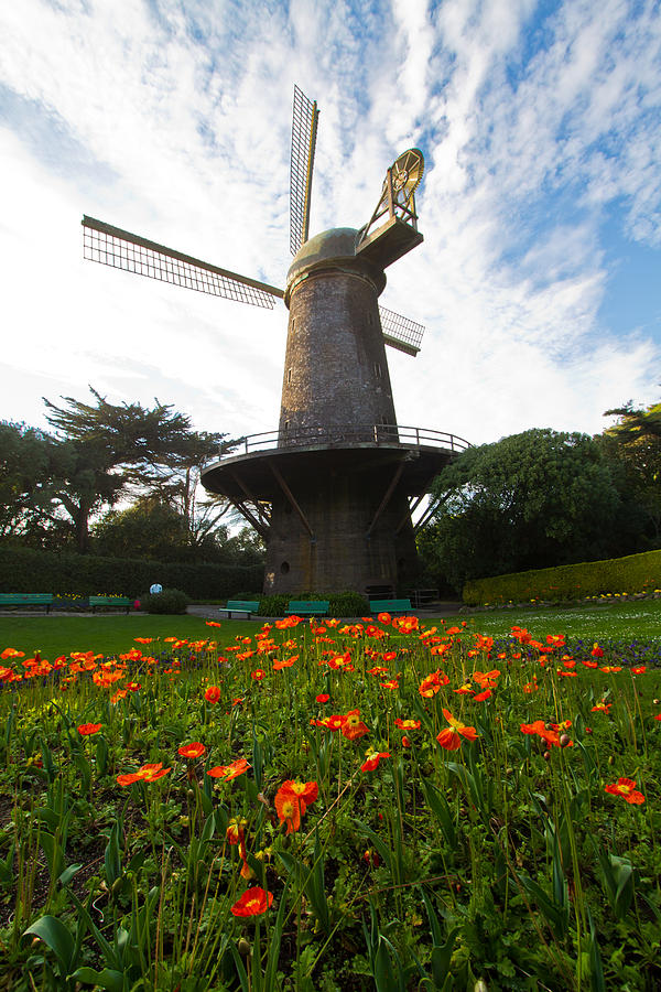 Windmill and Poppies Photograph by Roger Mullenhour