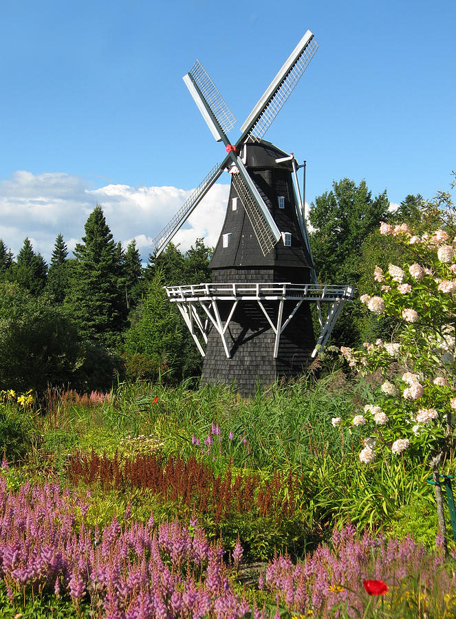Windmill Photograph by Pat Moore