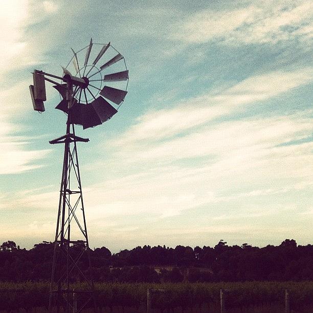 Windmill Photograph - #windmill #scenery #winery #vineyard by Glen Offereins