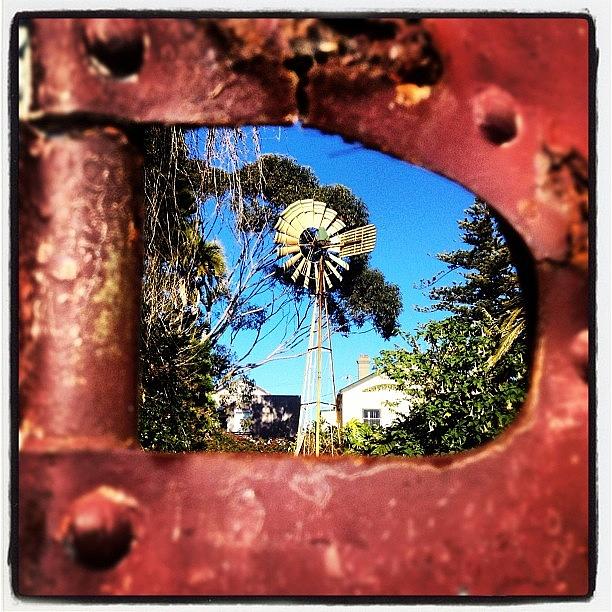 Vintage Photograph - Windmill, Through A Rusty Gate. Cool! by Shayle Graham