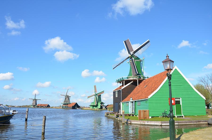 Windmills on the River Photograph by Catherine Murton