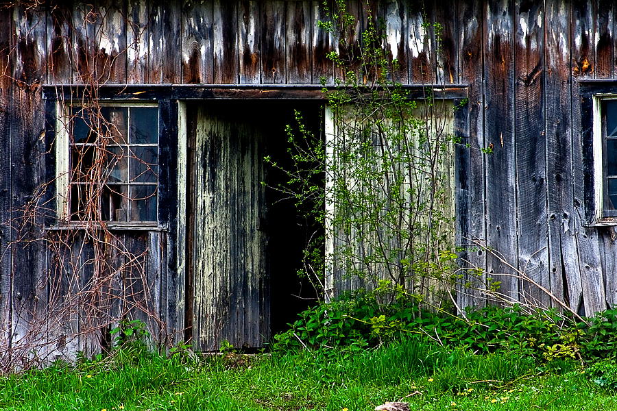 Window And Door 2 Photograph by Burney Lieberman