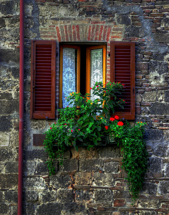 Window Assisi Photograph by David Blankenship