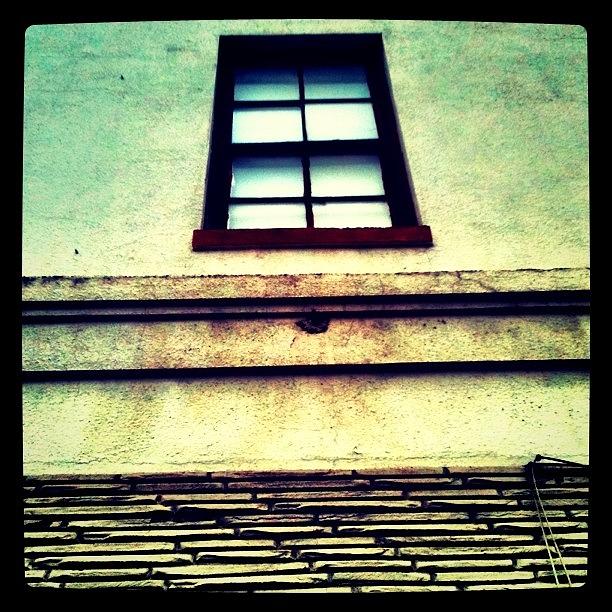 Austin Photograph - #window #austin by Amanda Max