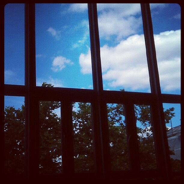 Tree Photograph - #window #bluesky #clouds #lines by X Thompson
