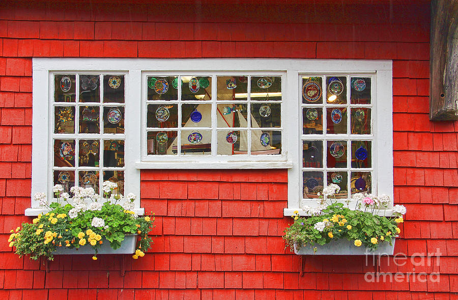 Window Boxes Photograph by Jack Schultz