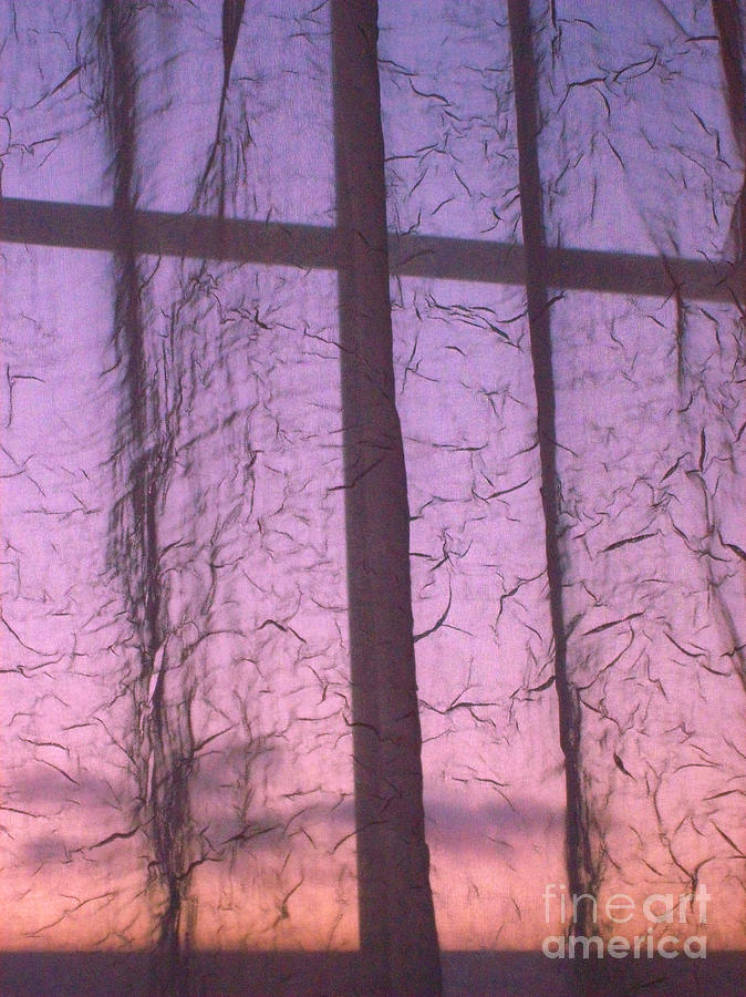 Window Dressing in Purple and Pink Photograph by Mary Mikawoz