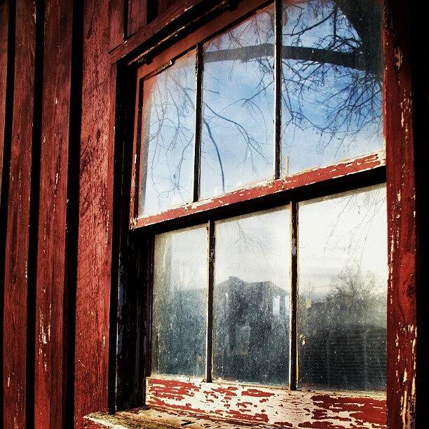 Window Photograph by Garrett Griffin