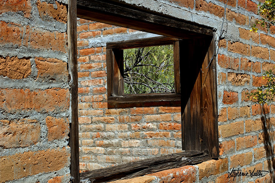Window Geometry at Alamo Ranch Photograph by Stephanie Salter