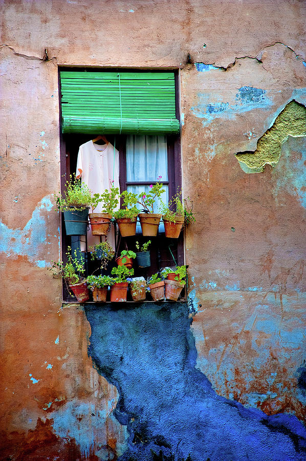 Window Photograph by Harry Spitz