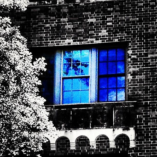 Instagram Photograph - Window by Kim Cafri