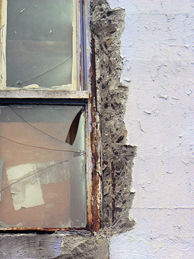 Window Pain  Photograph by Pamela Patch