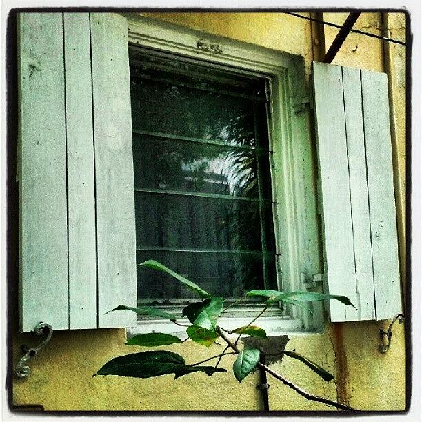 Window Photograph - #window #shabbychic by Amie Merker