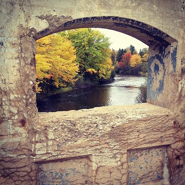 Bridge Photograph - Window to Autumn by Angela Josephine