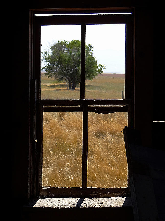 Window to the Past Photograph by Blair Wainman