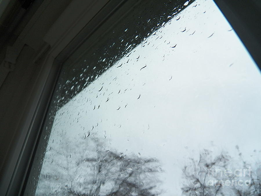 Window View of Sandy Storm Photograph by Judy Via-Wolff