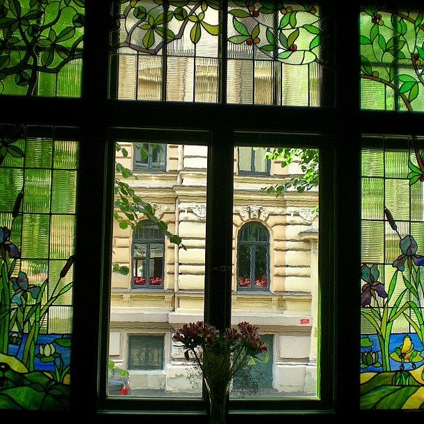 Flower Photograph - Window #windows #glass #flowers #street by Ayca Erkol
