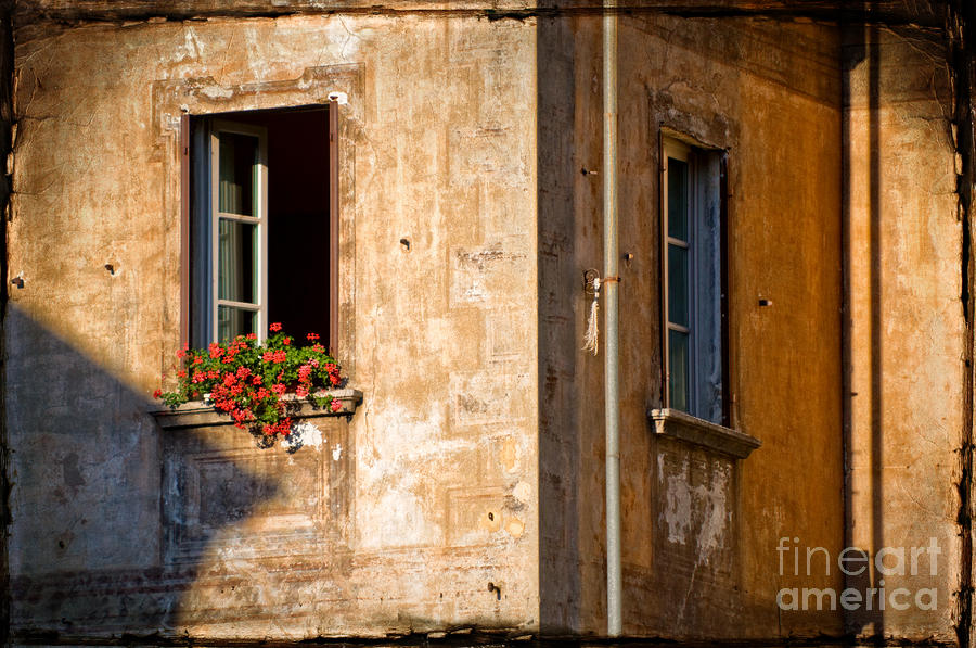 Window with geraniums Photograph by Silvia Ganora