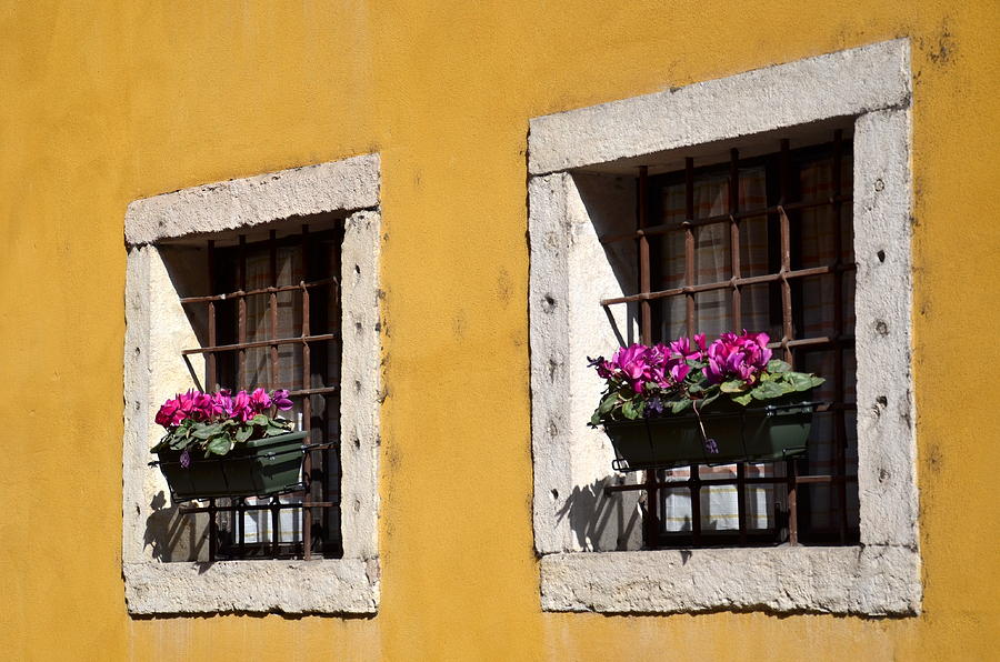 Windows Photograph by Martina Fagan