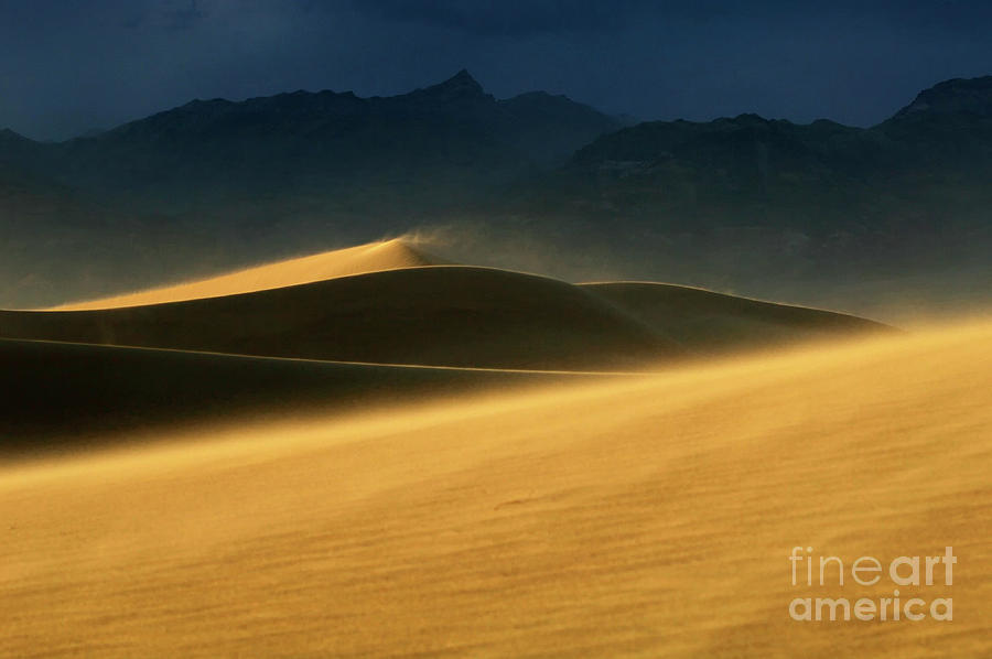 Death Valley National Park Photograph - Death Valley Windswept Dunes by Bob Christopher