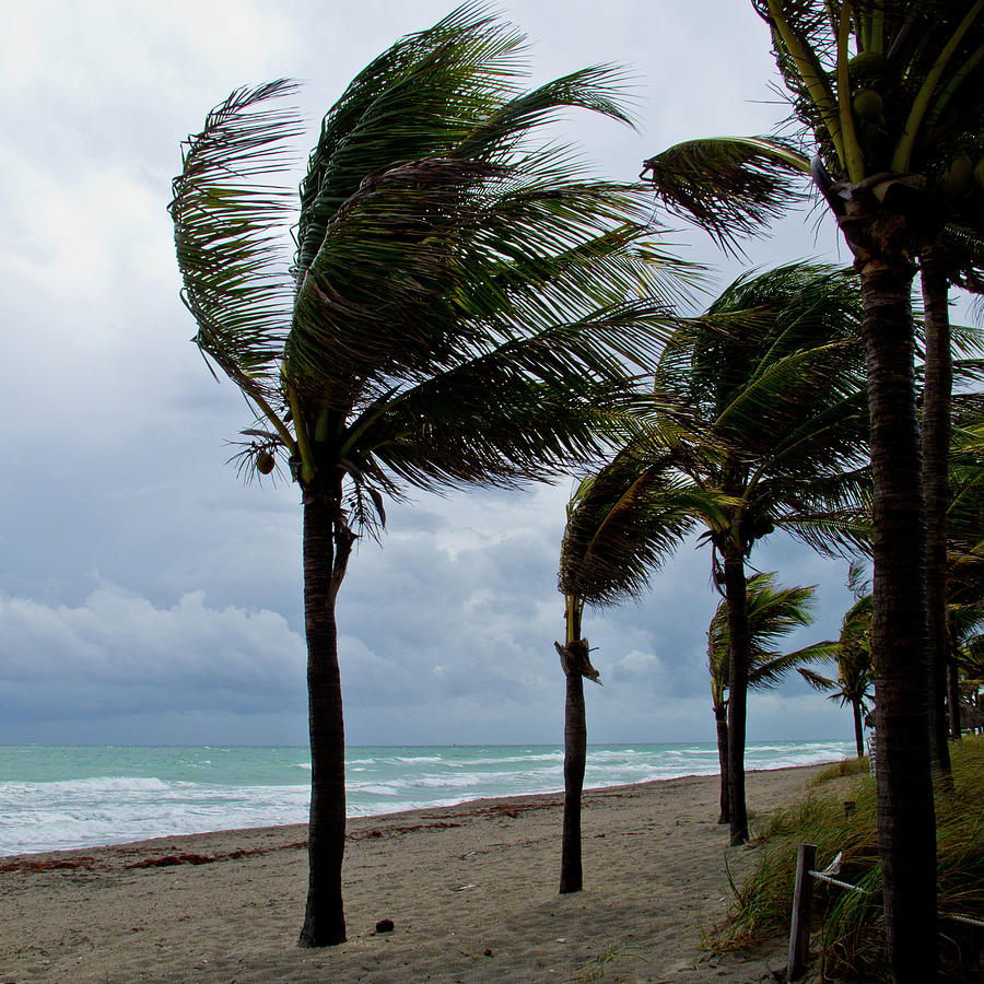 Windy day at the beach Photograph by David Coblitz