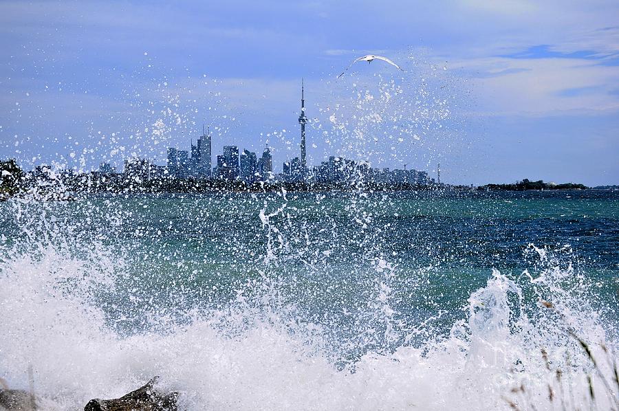 Windy Shores Photograph By Elaine Manley